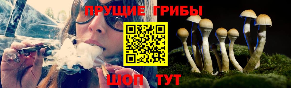 Галлюциногенные грибы GOLDEN TEACHER Каменск-Уральский