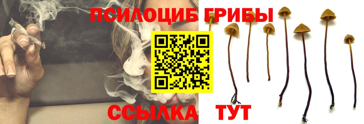 Галлюциногенные грибы MAGIC MUSHROOMS  Галлюциногенные грибы MAGIC MUSHROOMS  Вход с VPN  Каменск-Уральский 